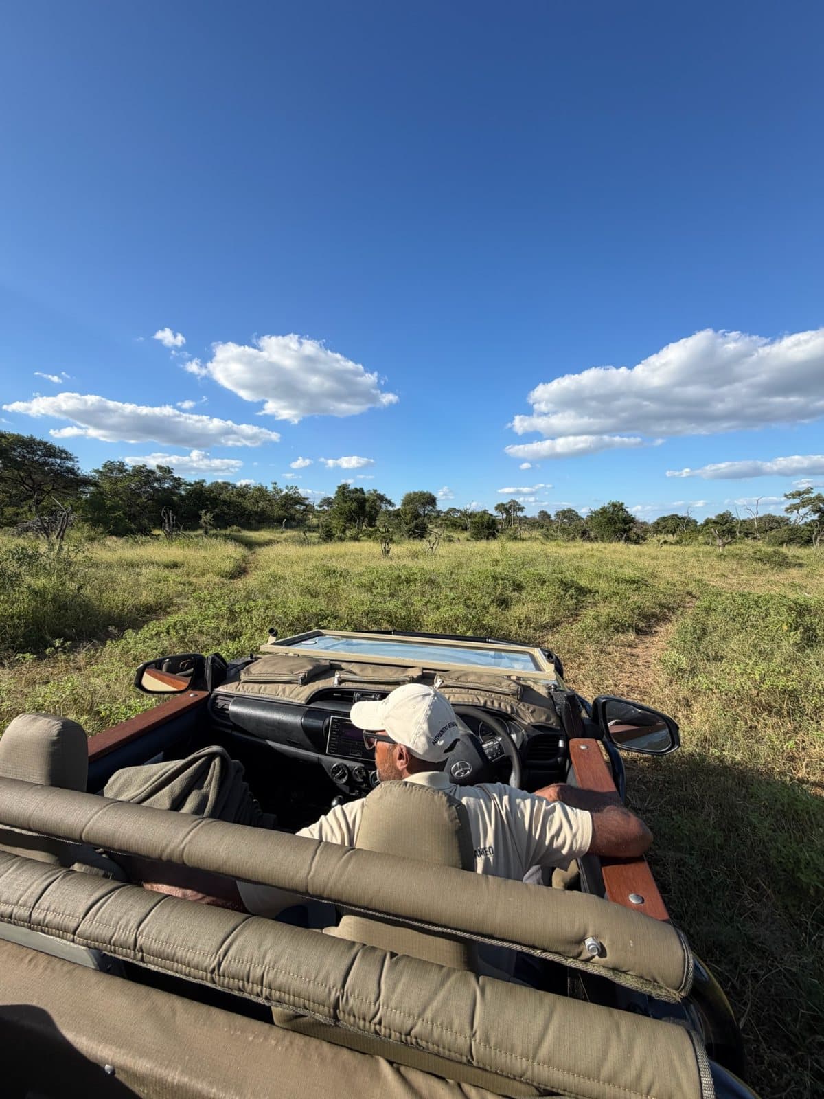 A game drive under a wide sky